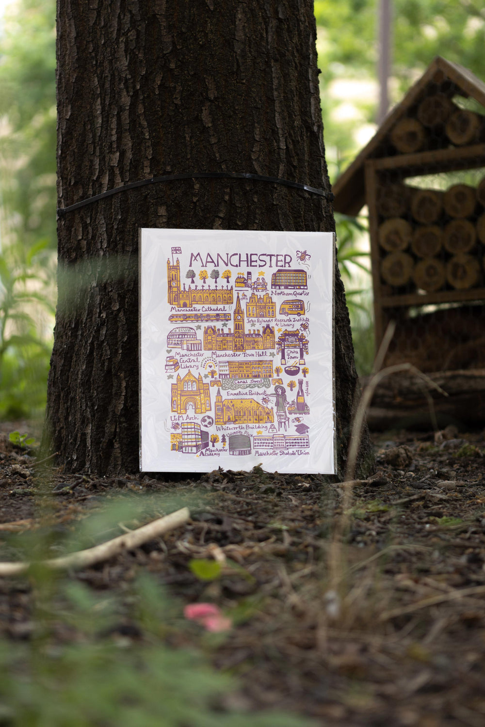 A colorful illustration of Manchester landmarks, including Manchester Cathedral, on a poster leaning against a tree in a lush forest setting.
